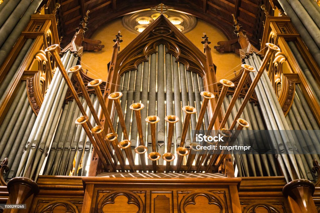 Festival Asse Arcadie-Journ�e de l'orgue