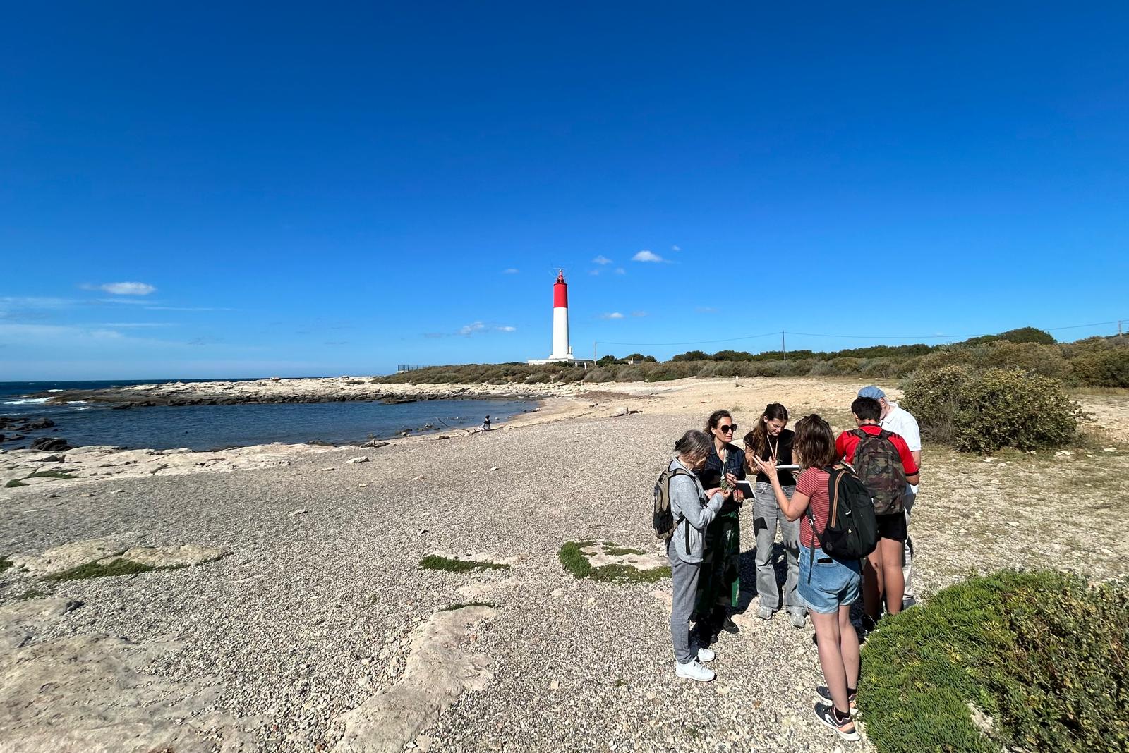 Balade plantes sauvages comestibles et m�dicinales du littoral
