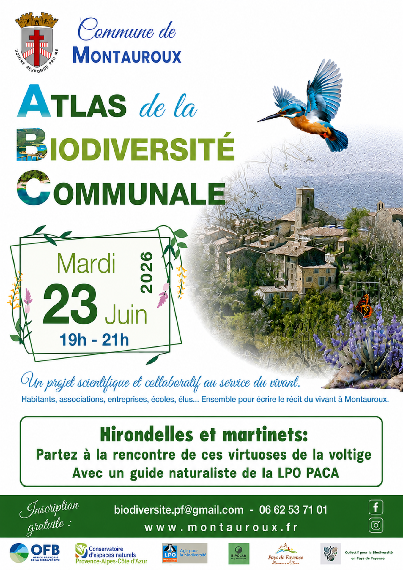 Rencontre avec un guide naturaliste LPO PACA - Hirondelles et martinets