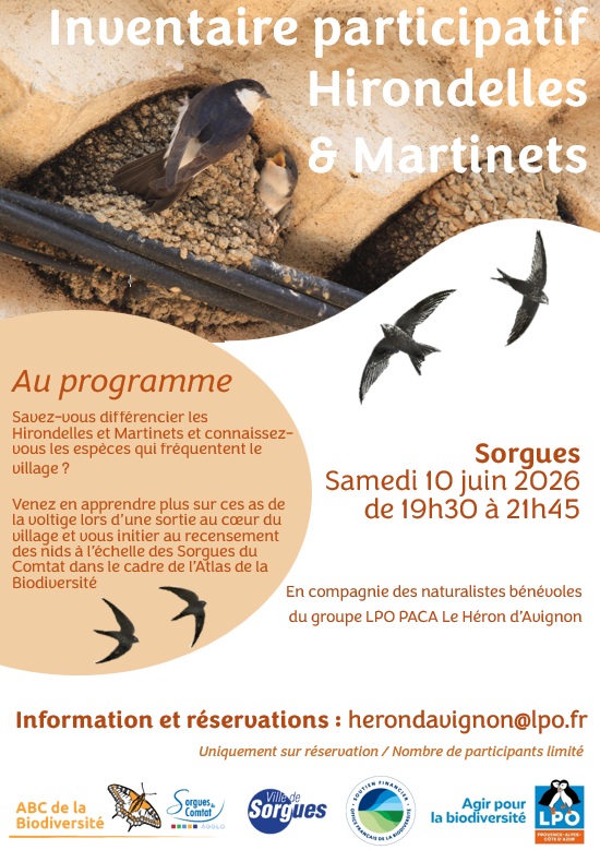 Inventaire participatif Hirondelles et Martinets