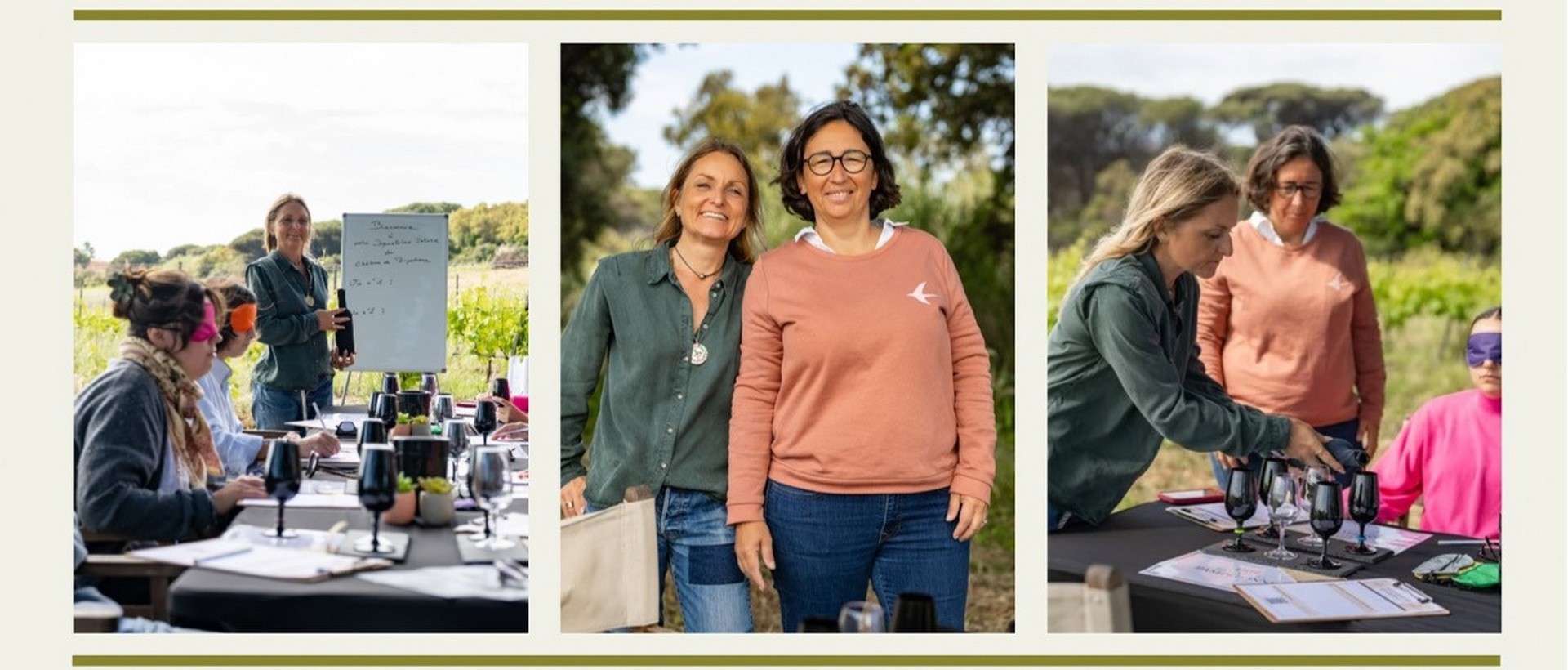 Atelier d�gustation au coeur des vignes