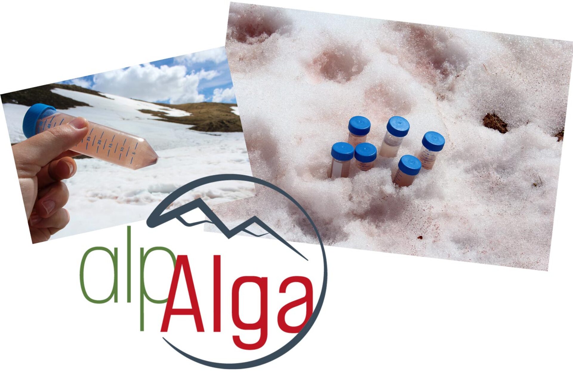 Atelier scientifique : le sang des glaciers...enqu�te en cours