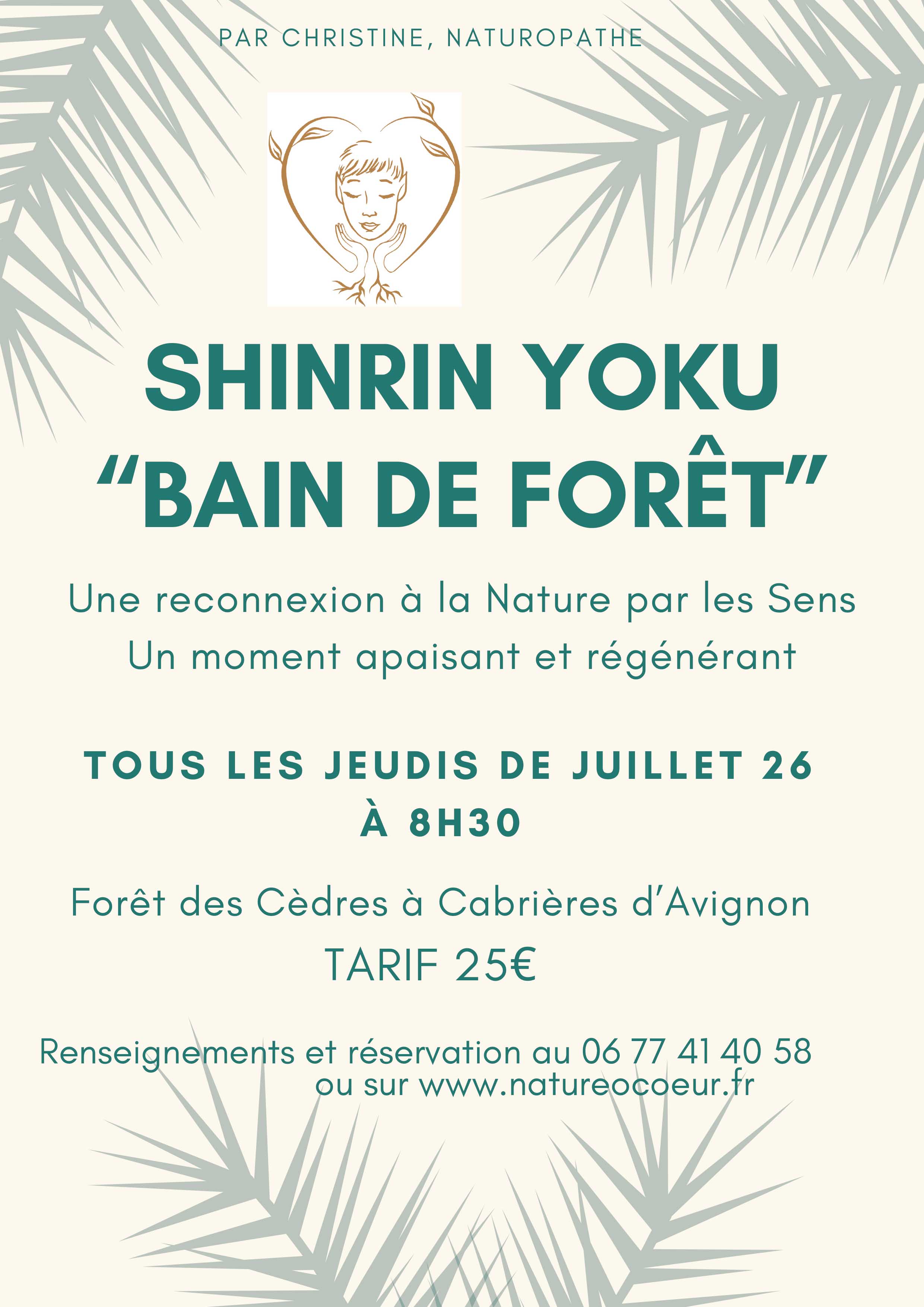 Sortie Shinrin Yoku ou Bain de For�t