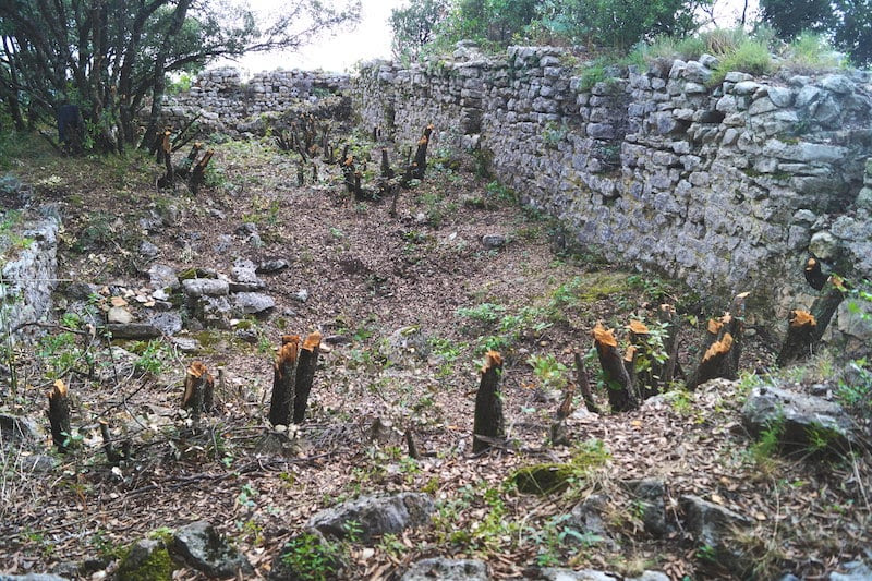 Perchement et habitats fortifi�s dans le territoire de la Cit� de Fr�jus et ses marges au haut Moyen �ge