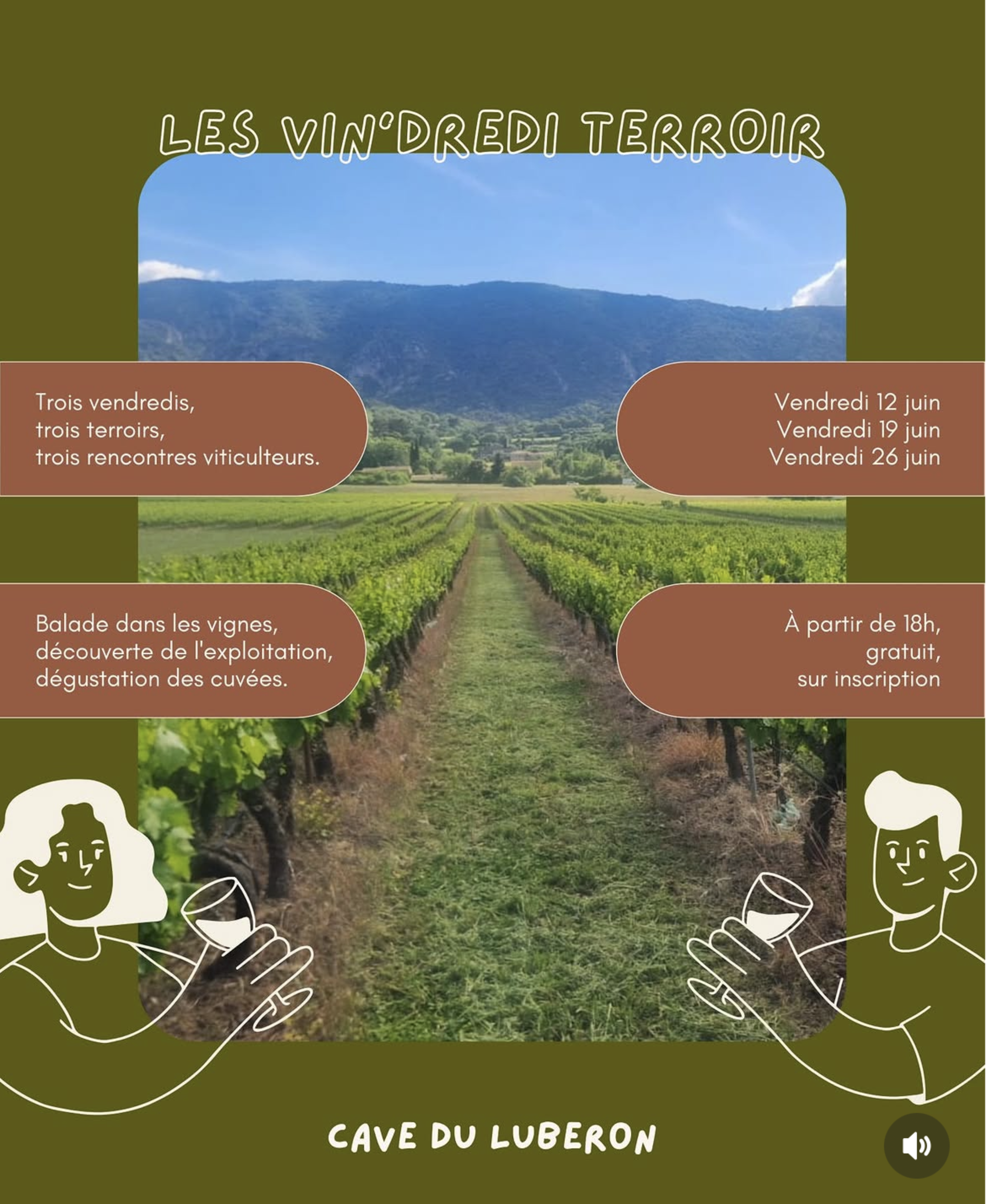Les vin'dredi terroir