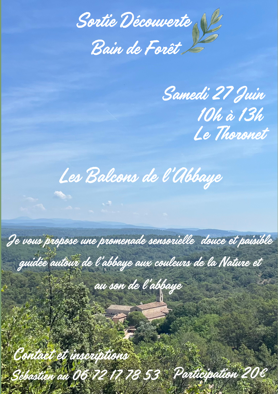 Sortie d�couverte Bain de for�t 