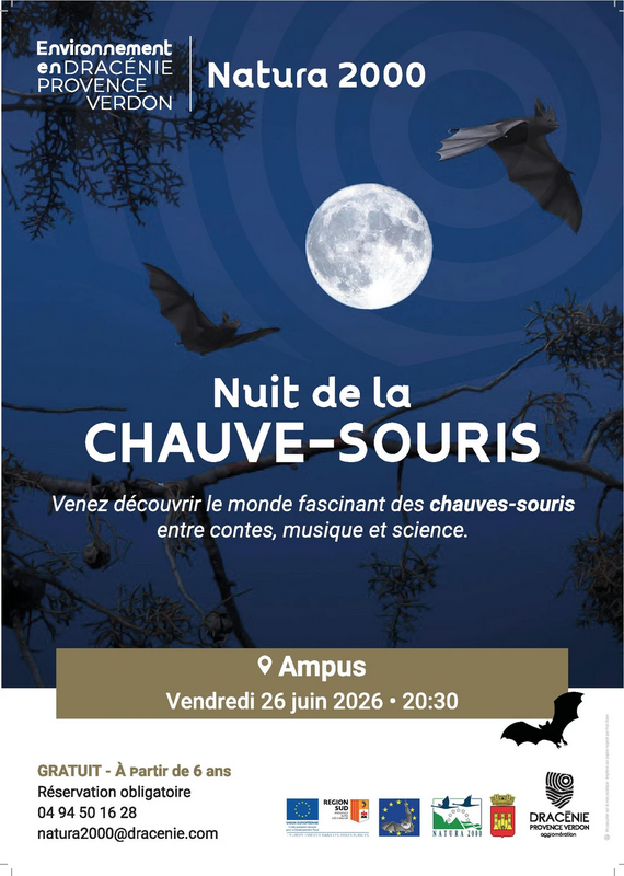 Nuit de la chauve-souris