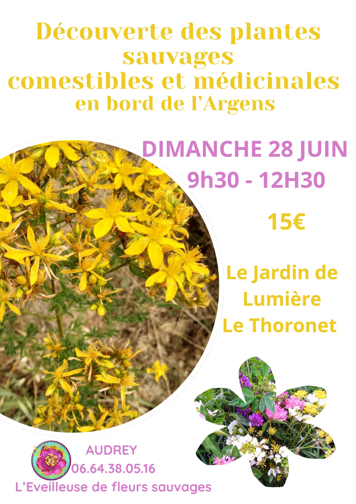 D�couverte des plantes sauvages comestibles et m�dicinales en bord de l'Argens