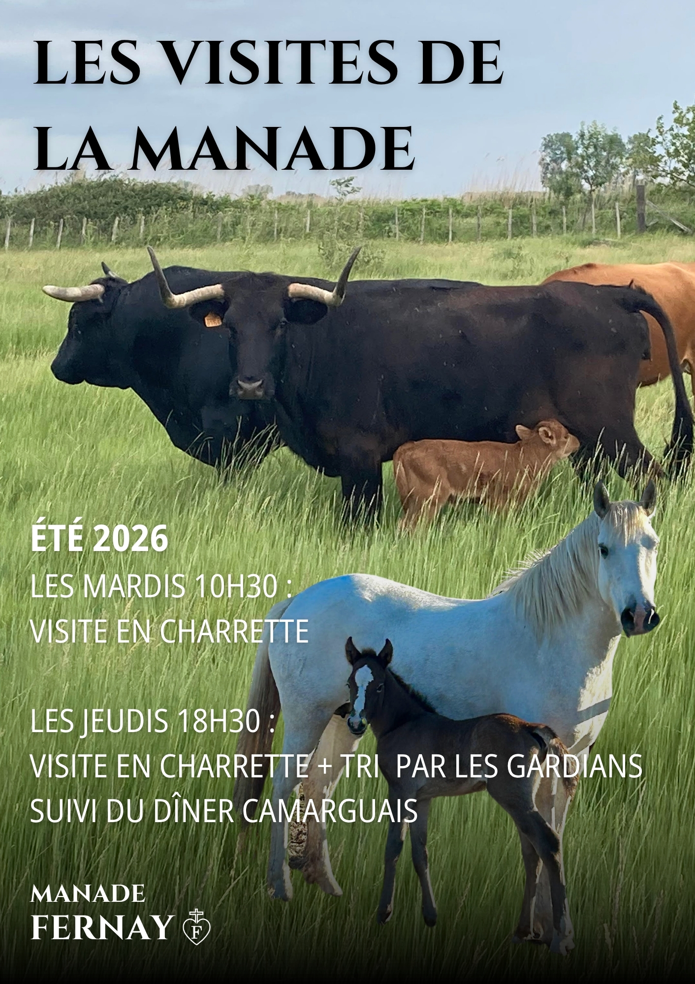 Les visites � la manade Fernay