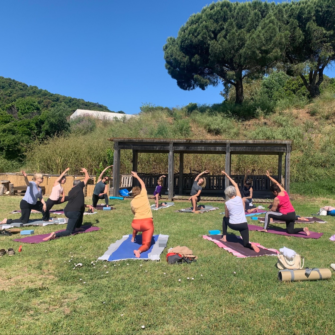 Yoga sous l'Eucalyptus + Brunch