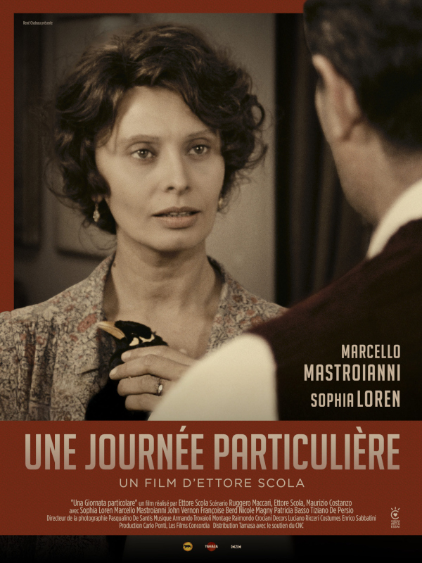 Cin� Plein Air - Une journ�e particuli�re