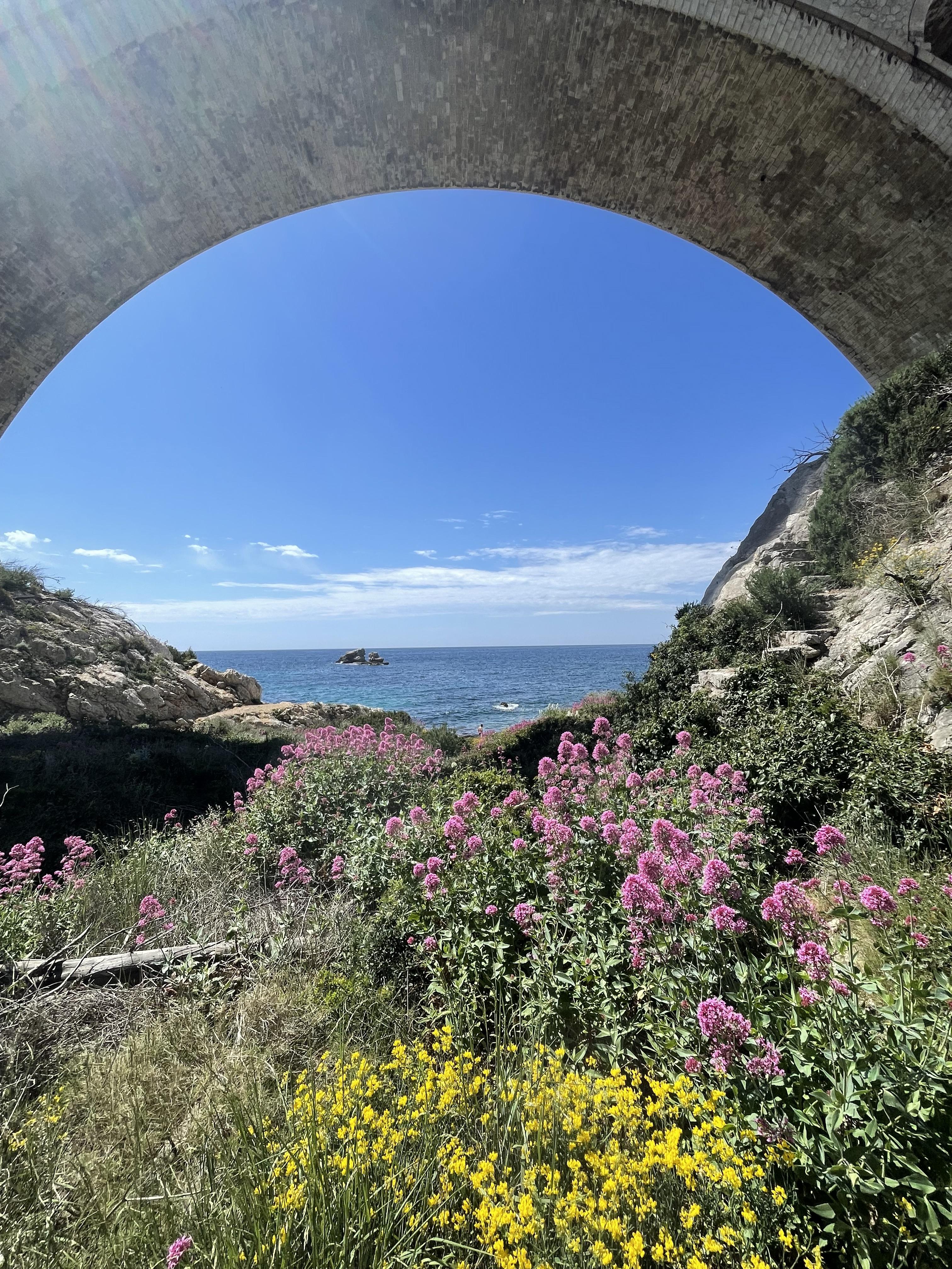 Randonn�e flore d'automne et patrimoine septembre
