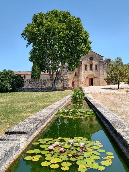 Pique-Nique et Visite guid�e � l'abbaye