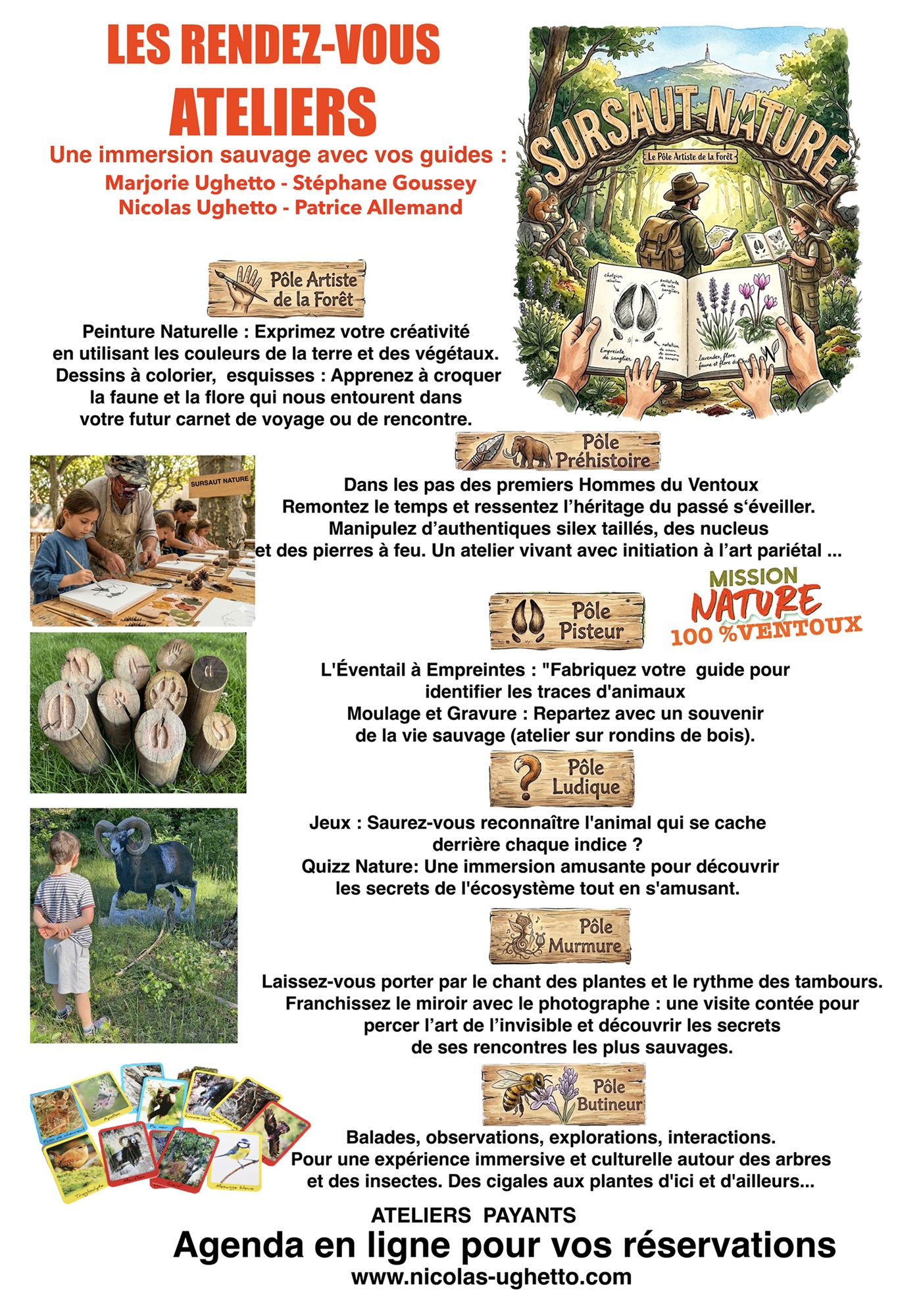 Sortie nature � Ce monde Extraordinaire : les insectes �