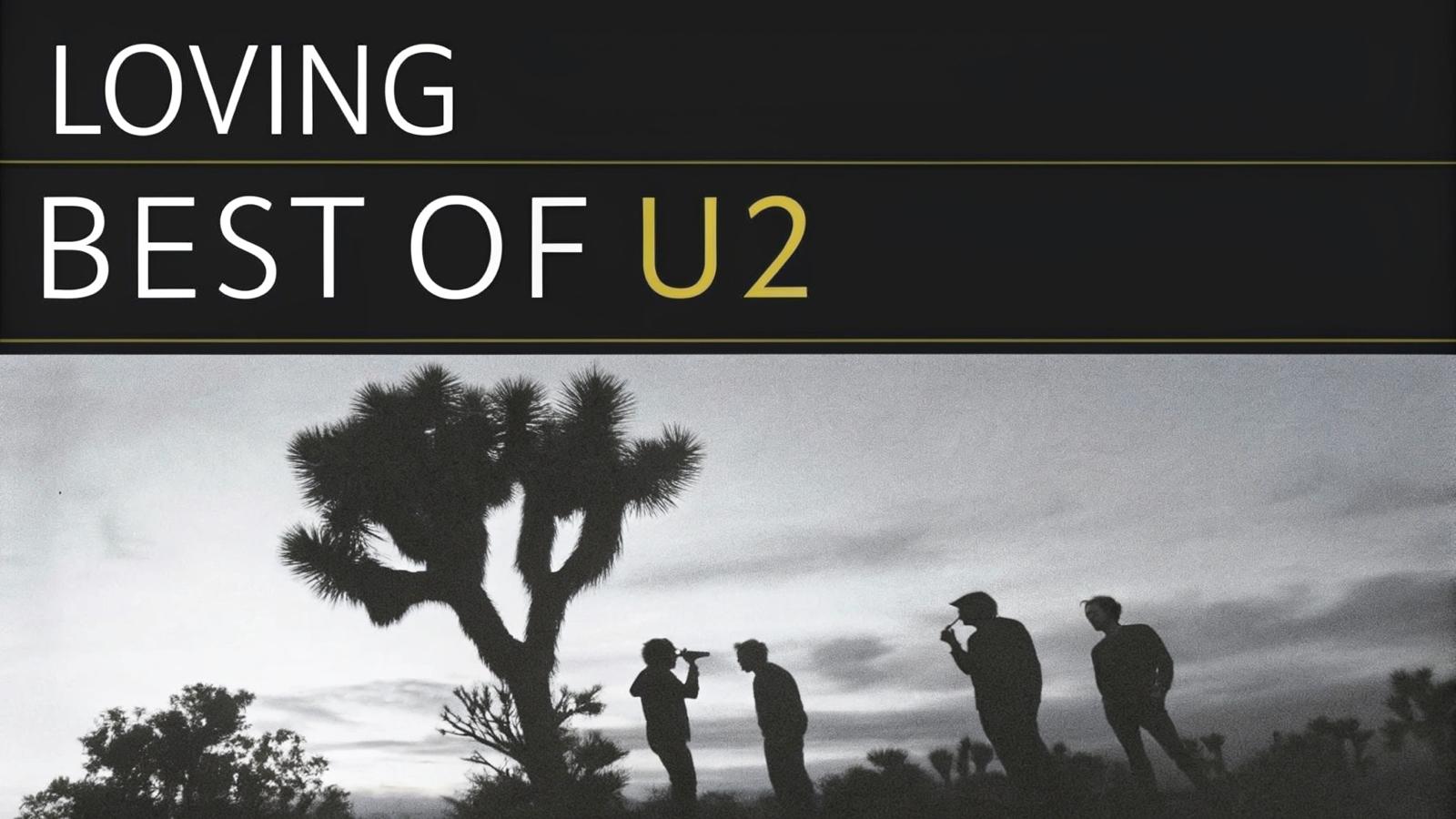 REPAS/CONCERT U2