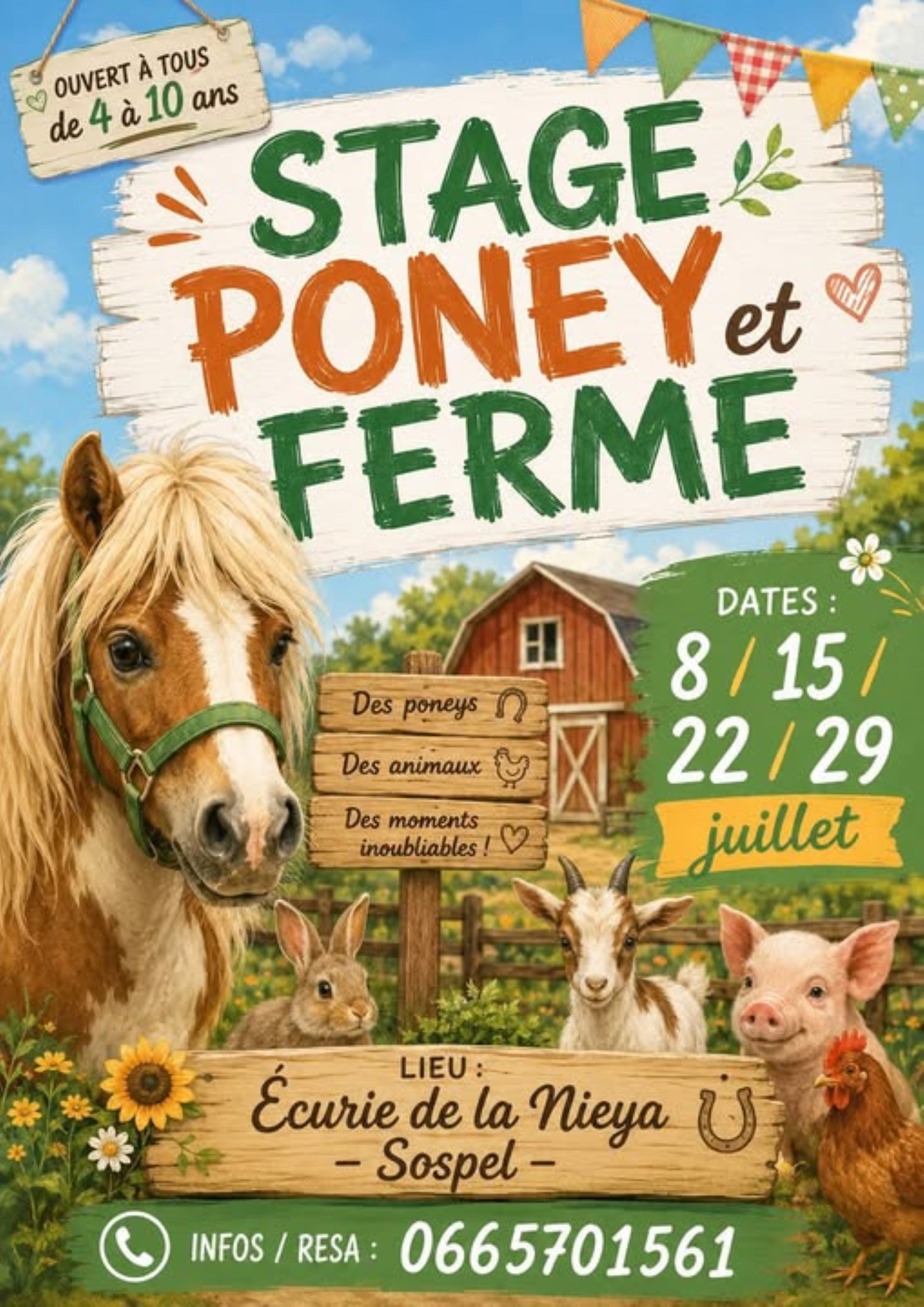 Stage poney et ferme