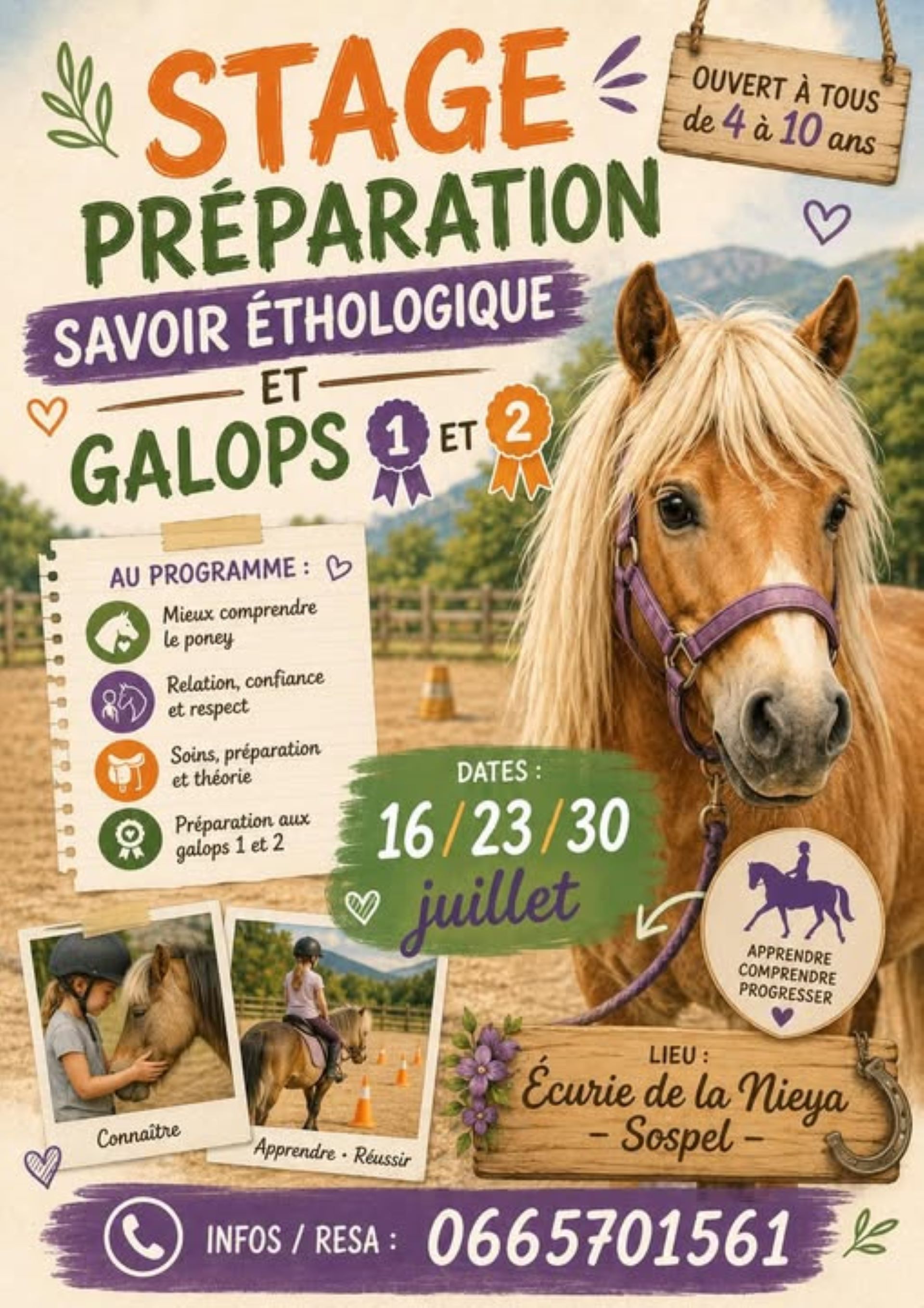 Stage pr�paration savoir �thologique et galops 1 et 2
