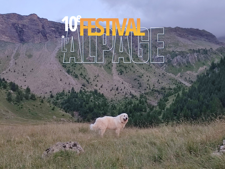 Festival de l'Alpage : Information et communication sur les chiens de protection � Prapic