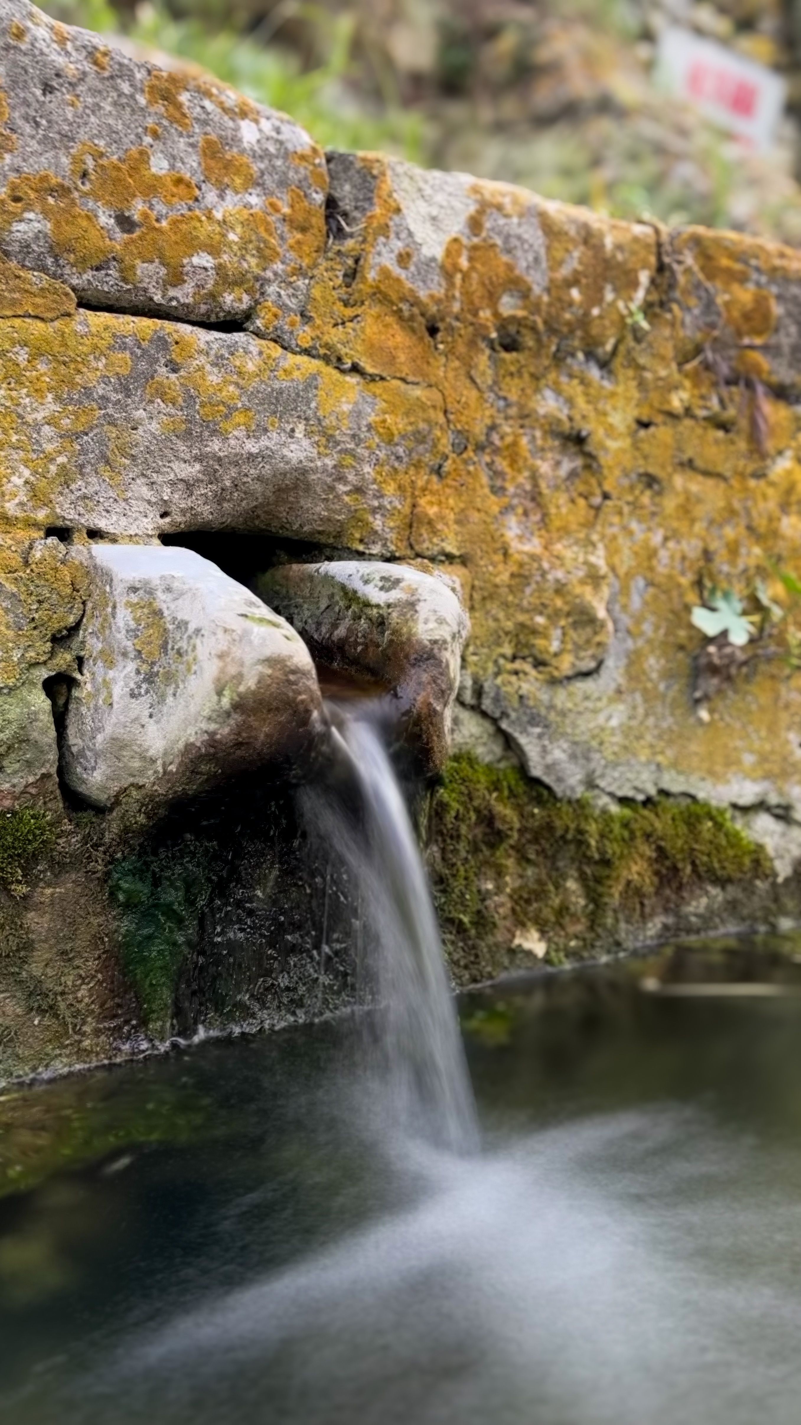 La f�te de l'eau !