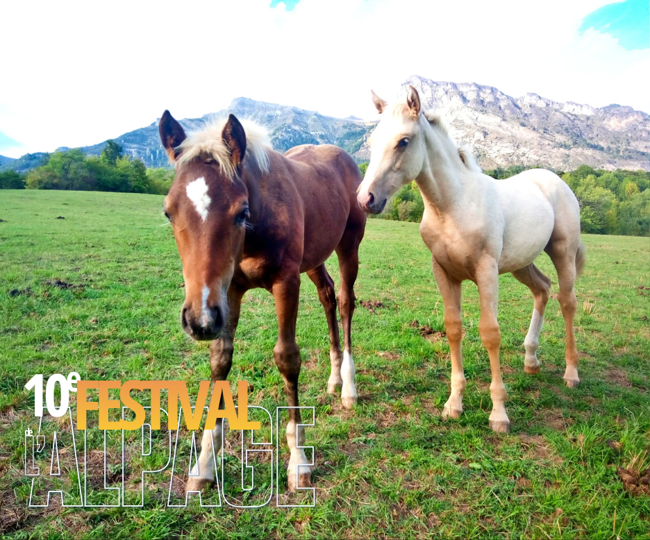 Festival de l'Alpage : Visite de l'�levage Appaloosa Farm