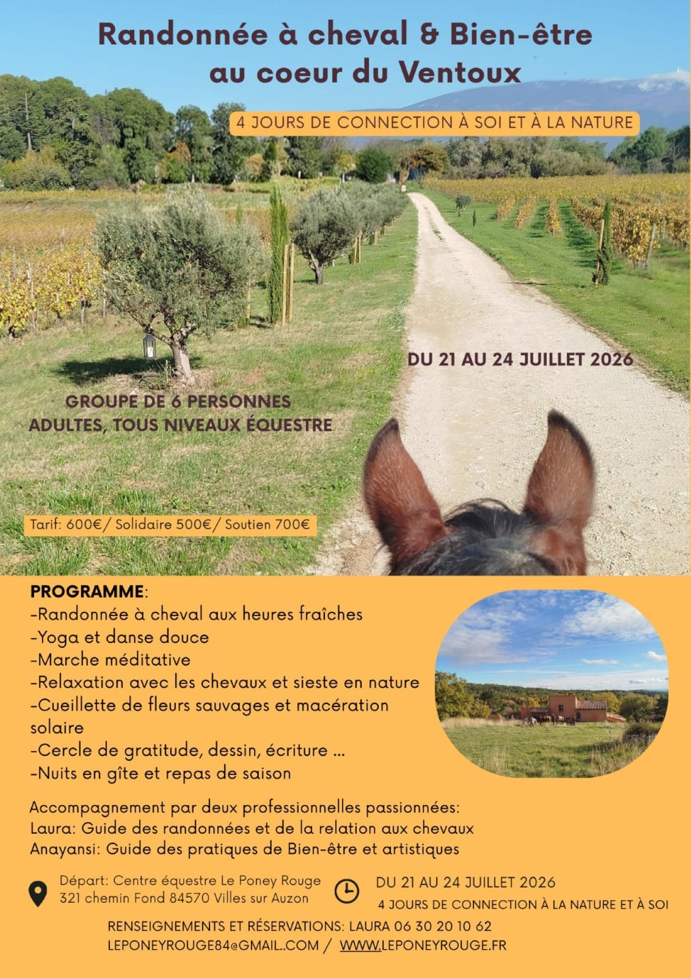 S�jour randonn�e � cheval & bien-�tre au coeur du Ventoux