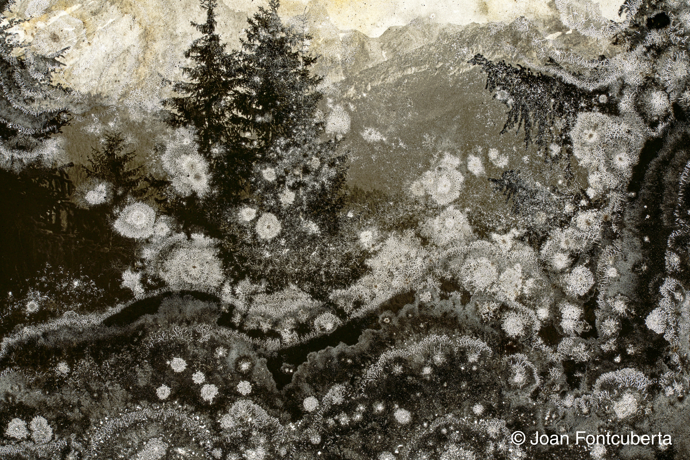 TRAUMA - Exposition de Joan Fontcuberta