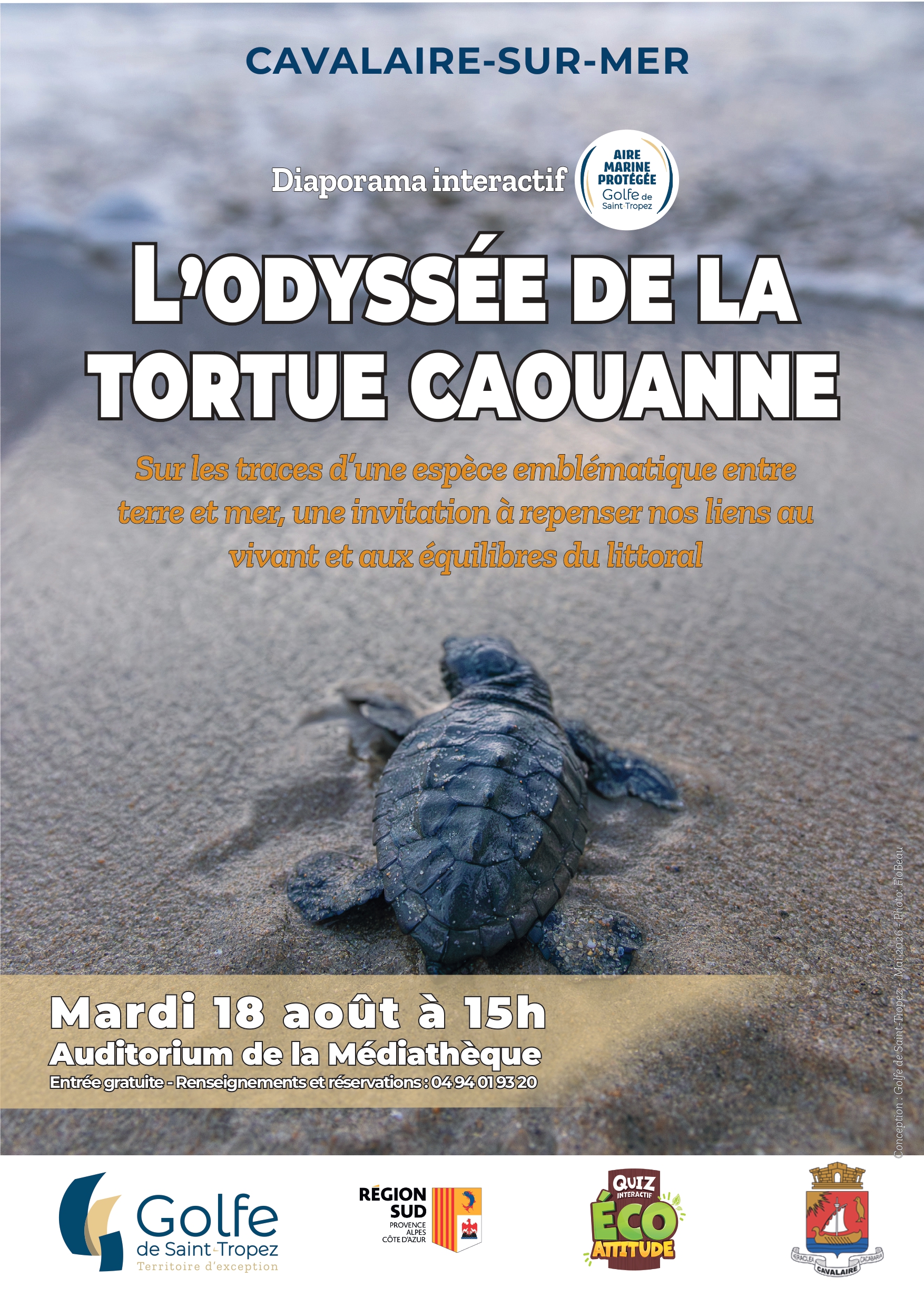 Diaporama interactif : l'Odyss�e de la tortue caouanne