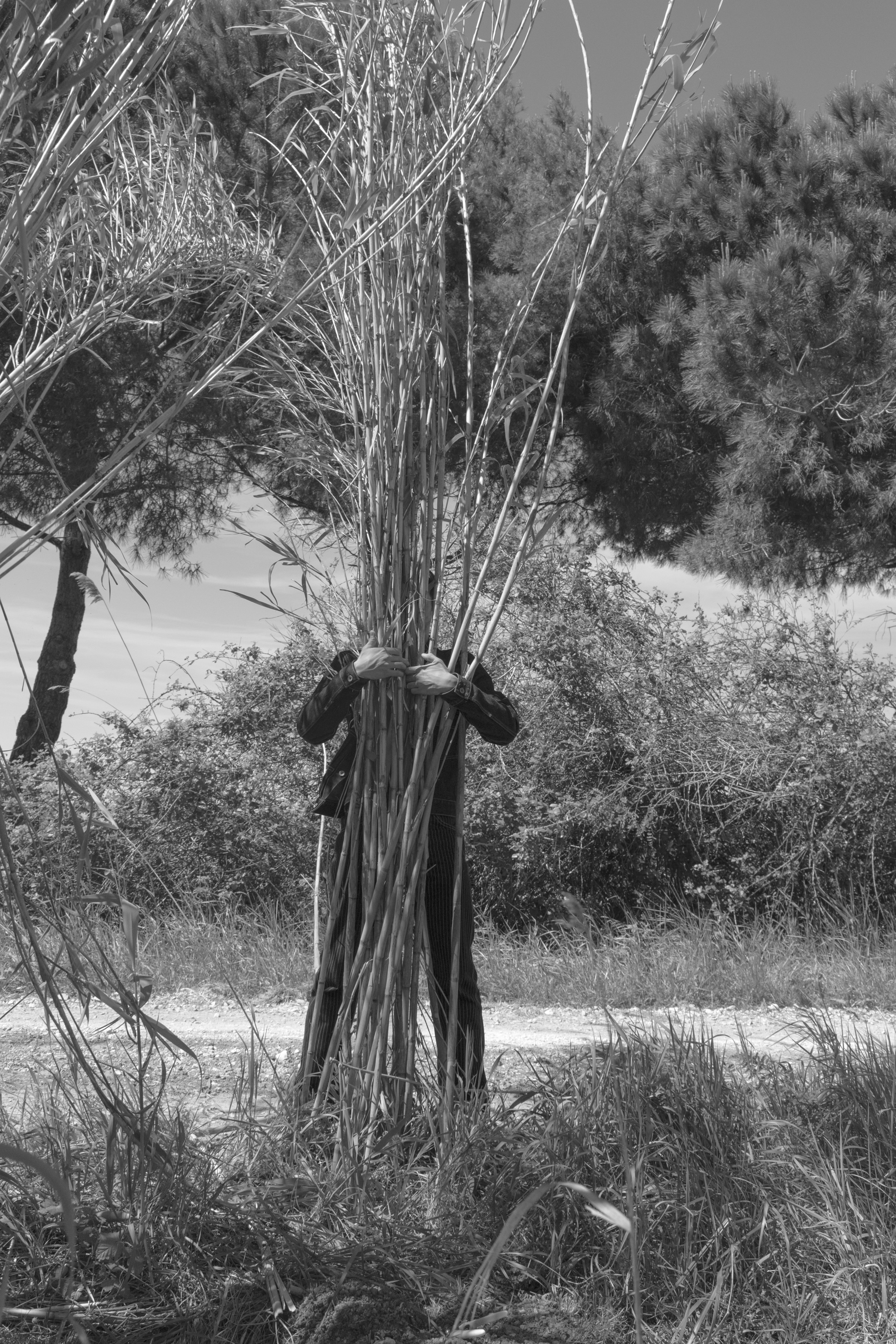 Exposition 
