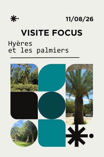 Focus : Hy�res et les palmiers