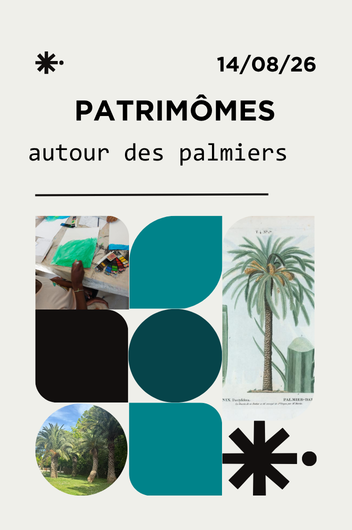 Patrim�mes : autour des palmiers