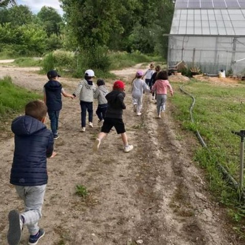 Visite en famille : La petite ferme p�dagogique