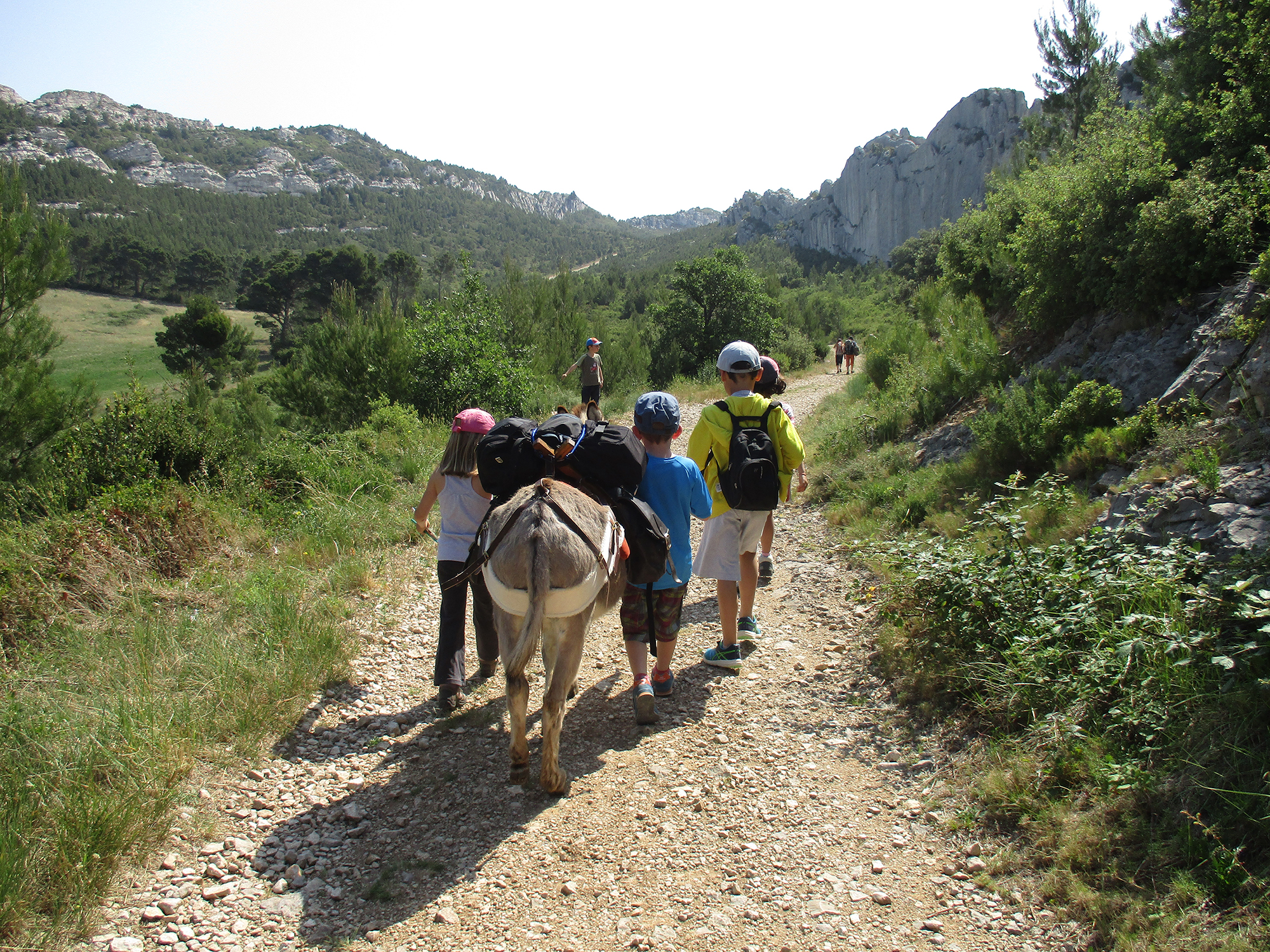 Balade avec les P'tits �nes : Les Caisses de Jean-Jean au pas de l'�ne