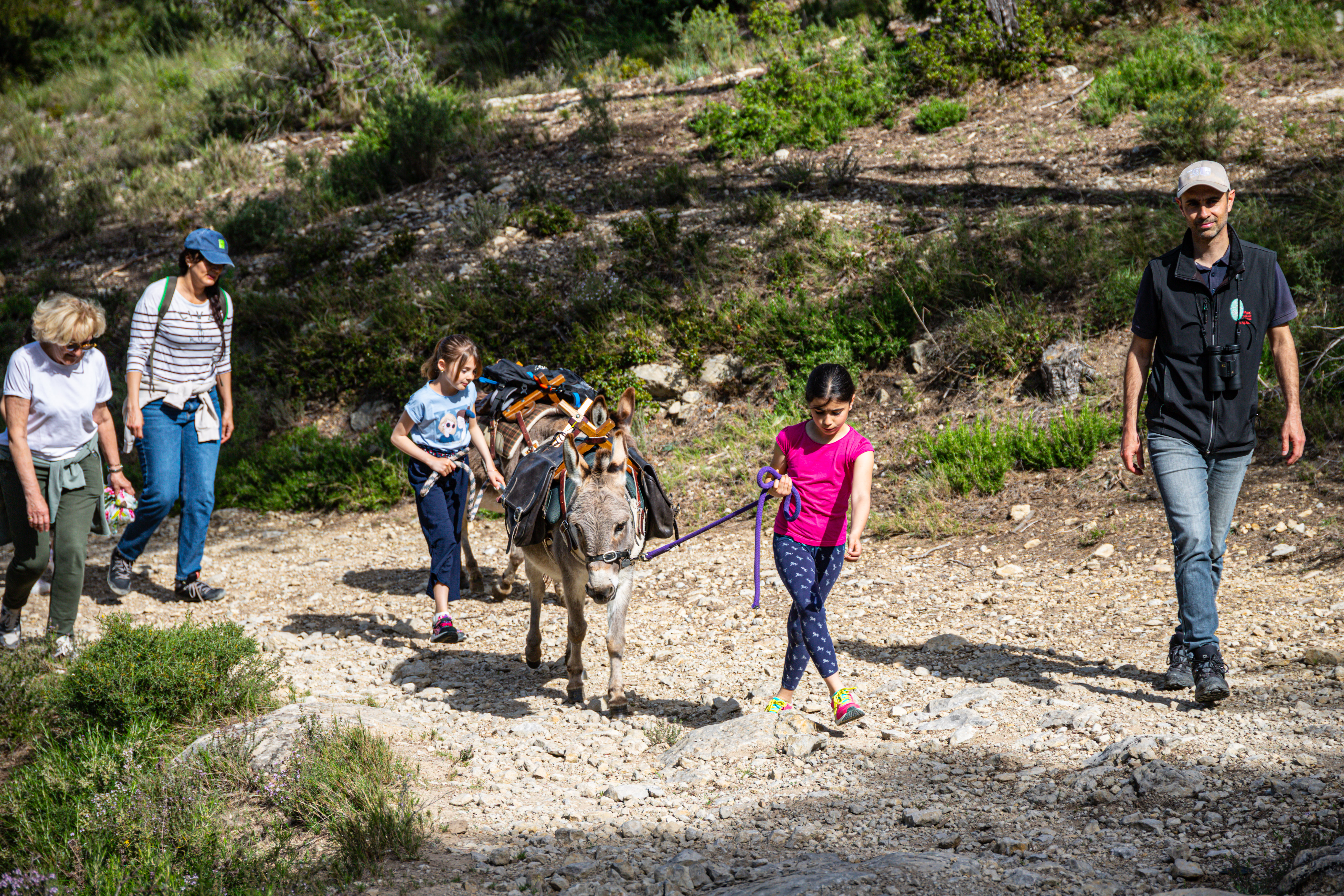 Balade avec les P'tits �nes : Le sentier de la pierre au pas des P'tits �nes