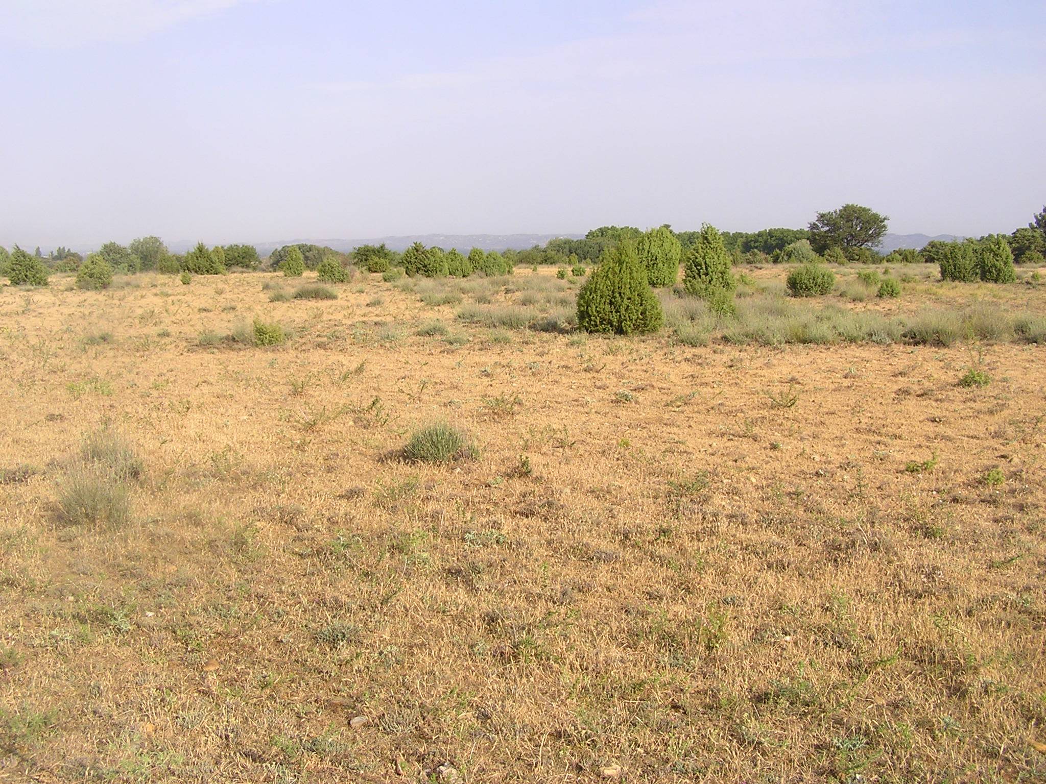 Balade naturaliste : Histoire et �cologie de la Petite Crau