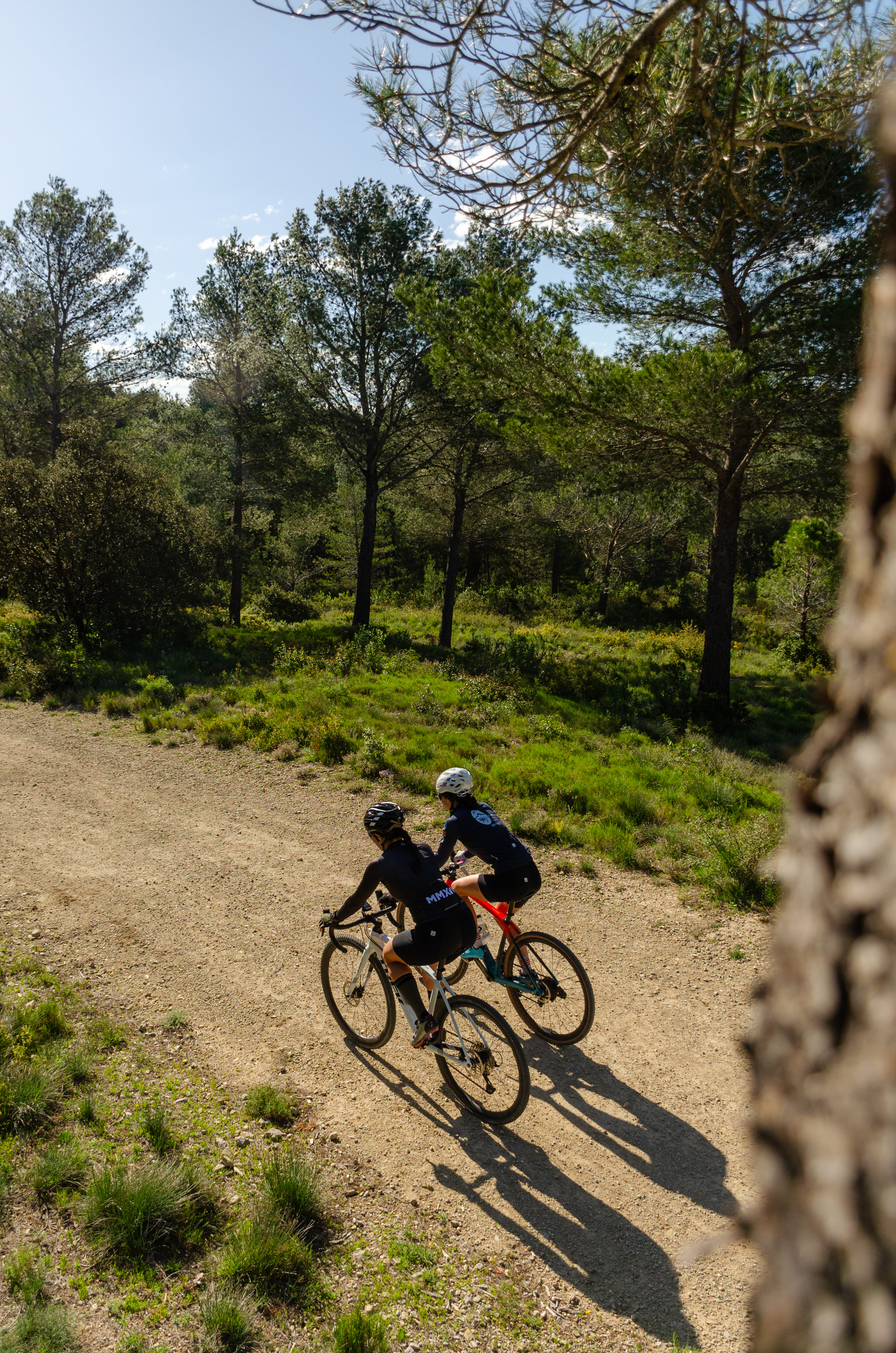 Sortie v�lo : Rallye v�lo du Parc des Alpilles