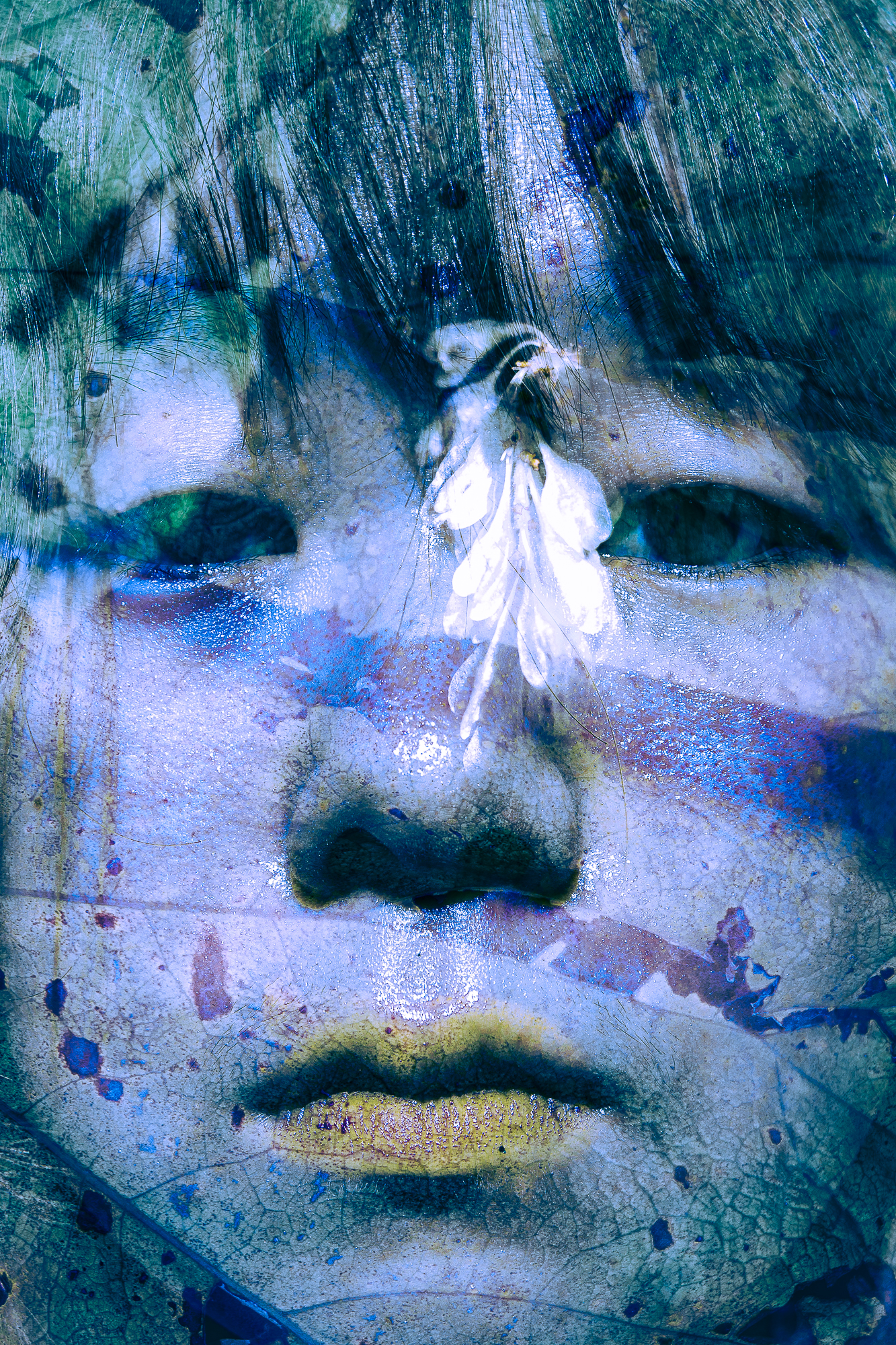 Projected Self (Soi projet�)