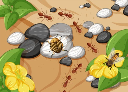 Part'�ge nature : sortie - petites b�tes et autres petits monstres