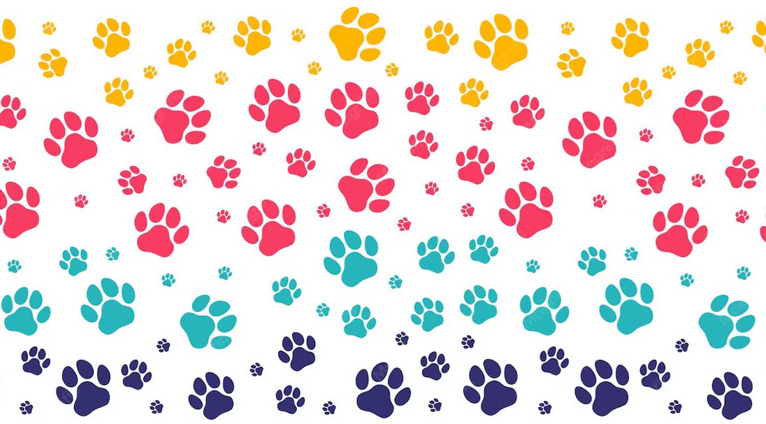 Part'�ge nature : sortie - traces et empreintes d'animaux