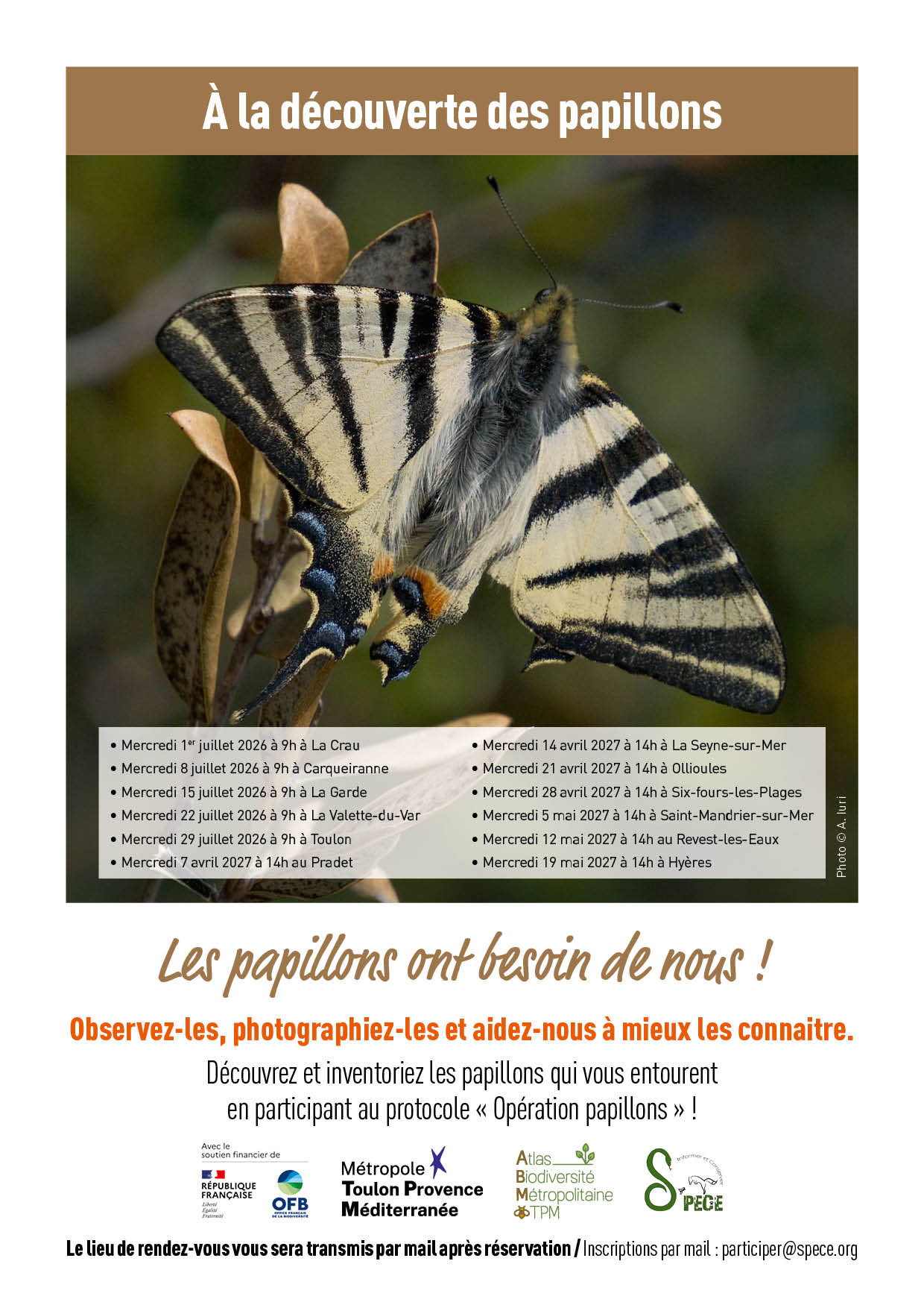Sortie nature - � la d�couverte des papillons
