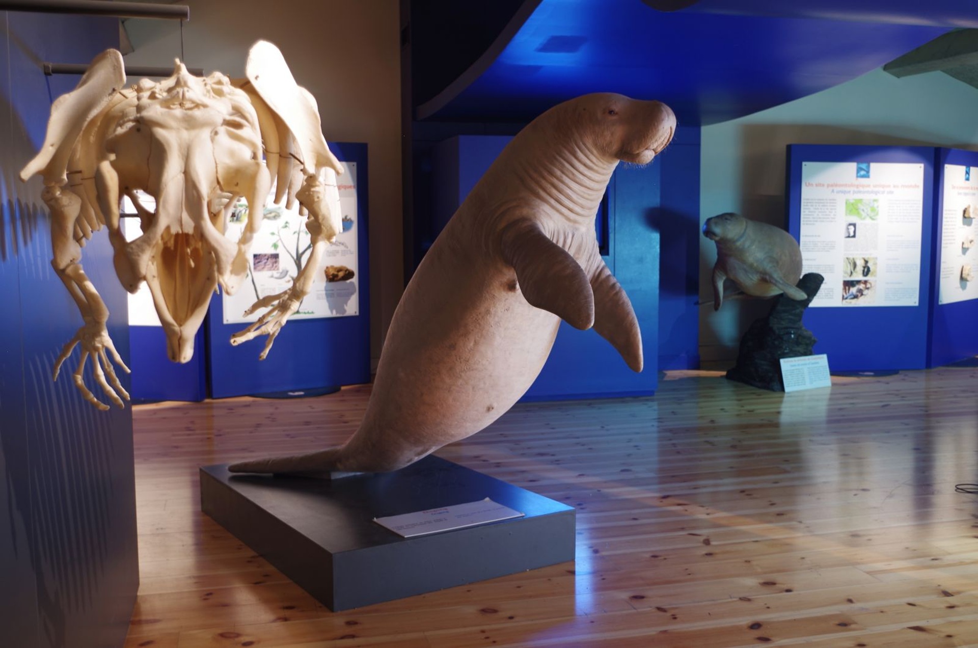 Visite guid�e de l'exposition 