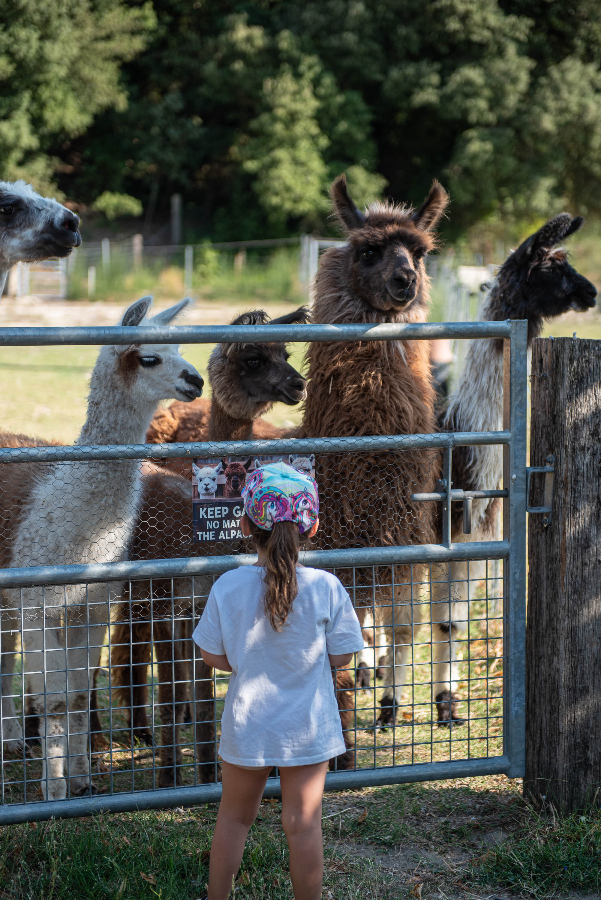 Visite � la Ferme d'Acatama