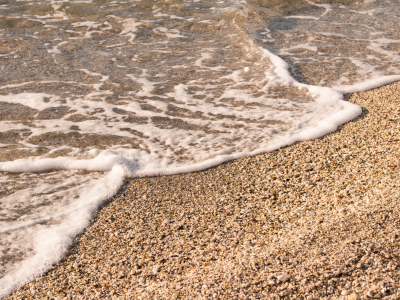 Les pieds dans l�eau by l�Institut oc�anographique Paul Ricard