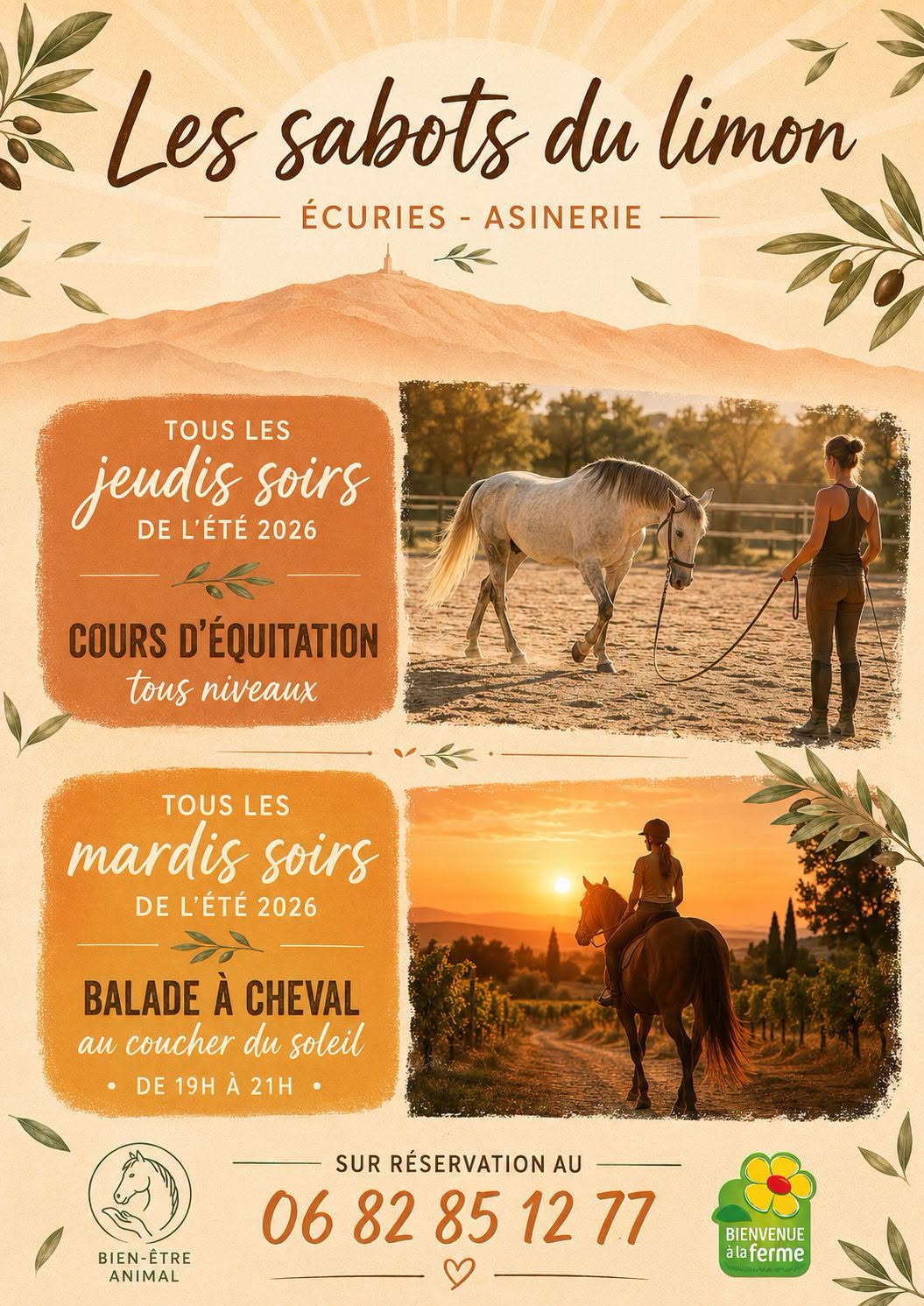 Balade � cheval au coucher du soleil - Les sabots du limon