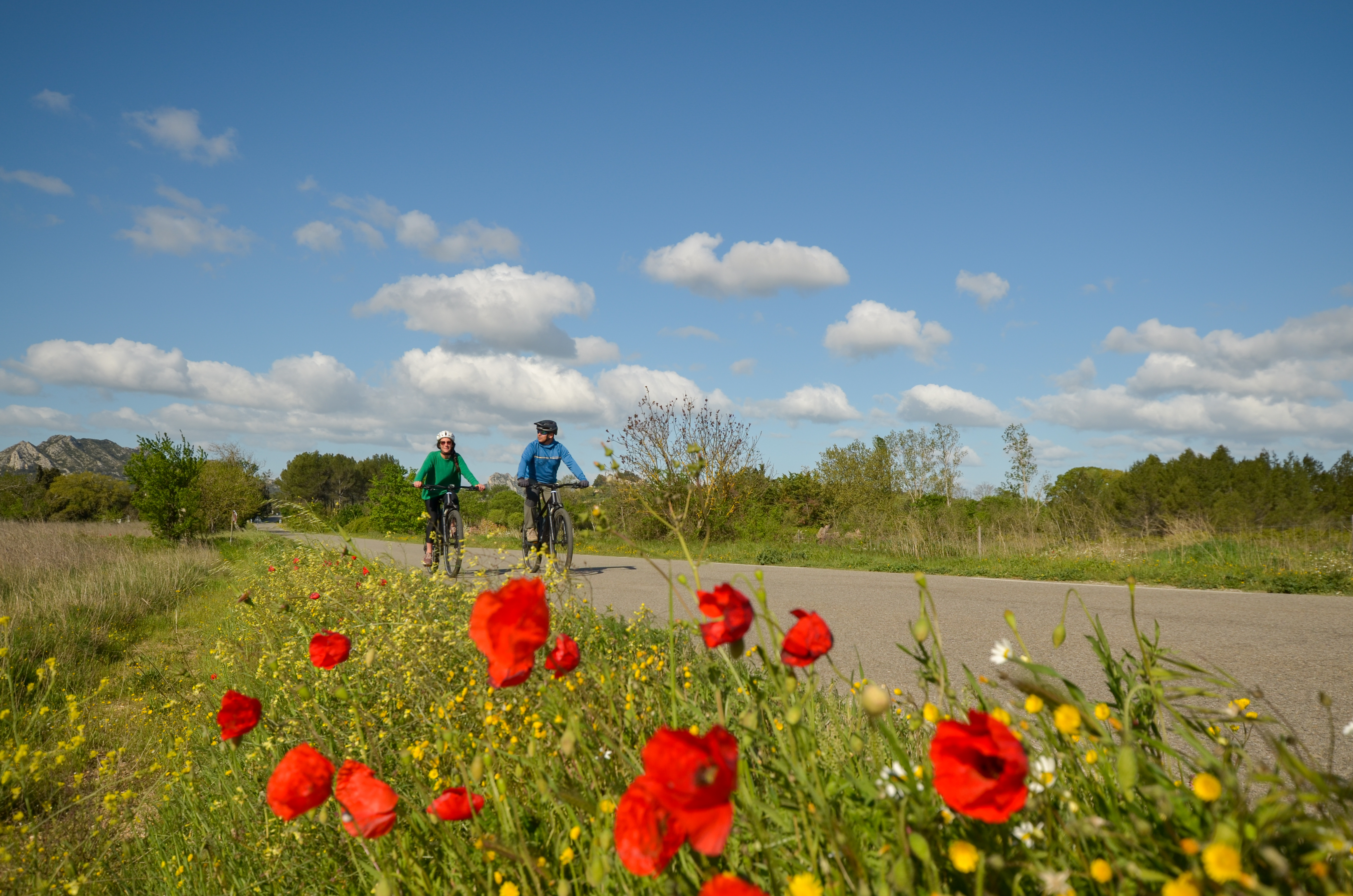 Balade � v�lo : Les jardins de Mistral