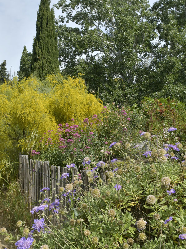 Sortie nature du Mus�um - 