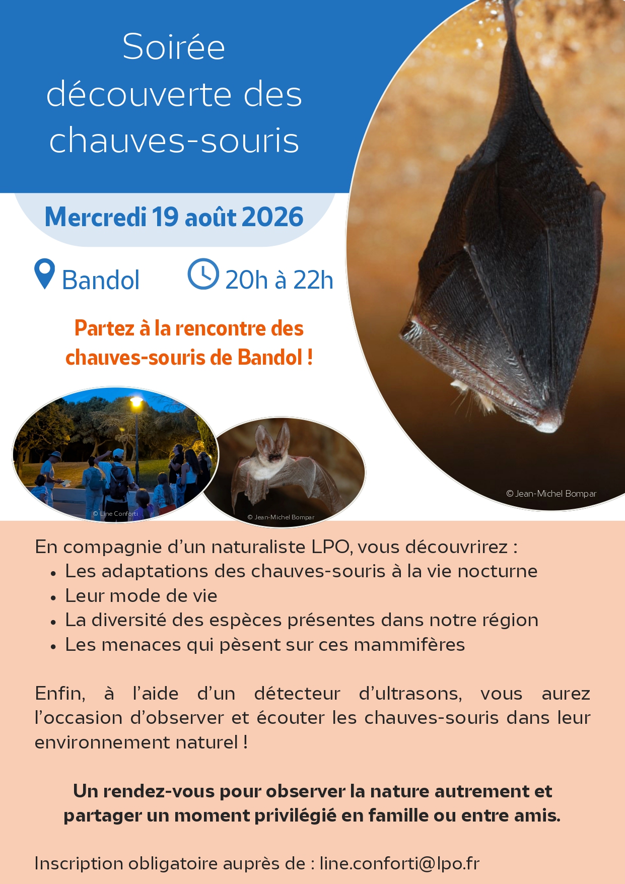 Rencontre avec les chauves-souris de Bandol