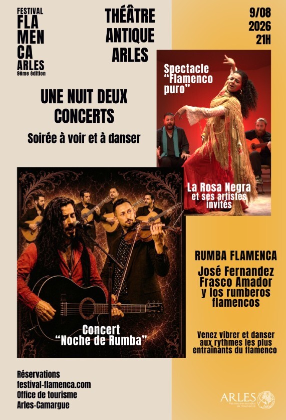 Une nuit, deux concerts