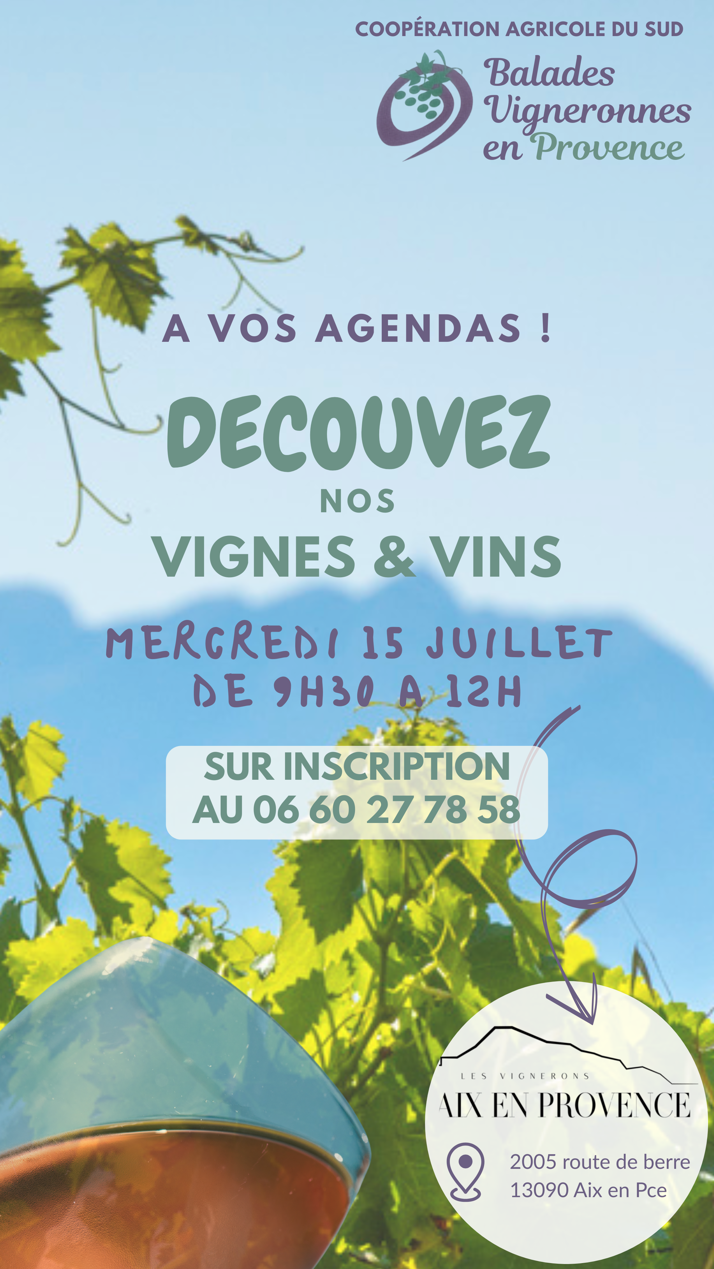 D�couverte Vignes & Vins de la cave