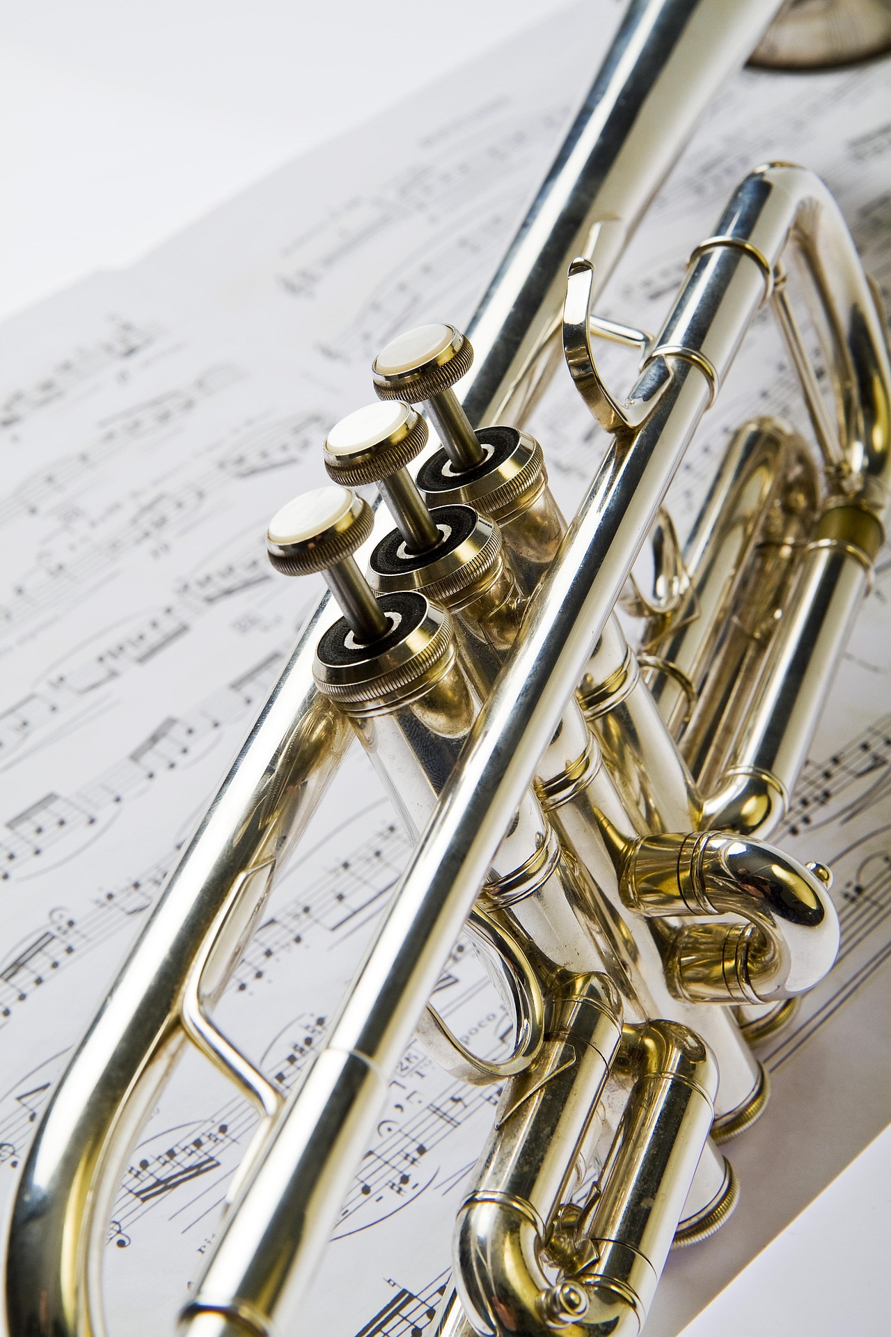 Concert de la Soci�t� Musicale
