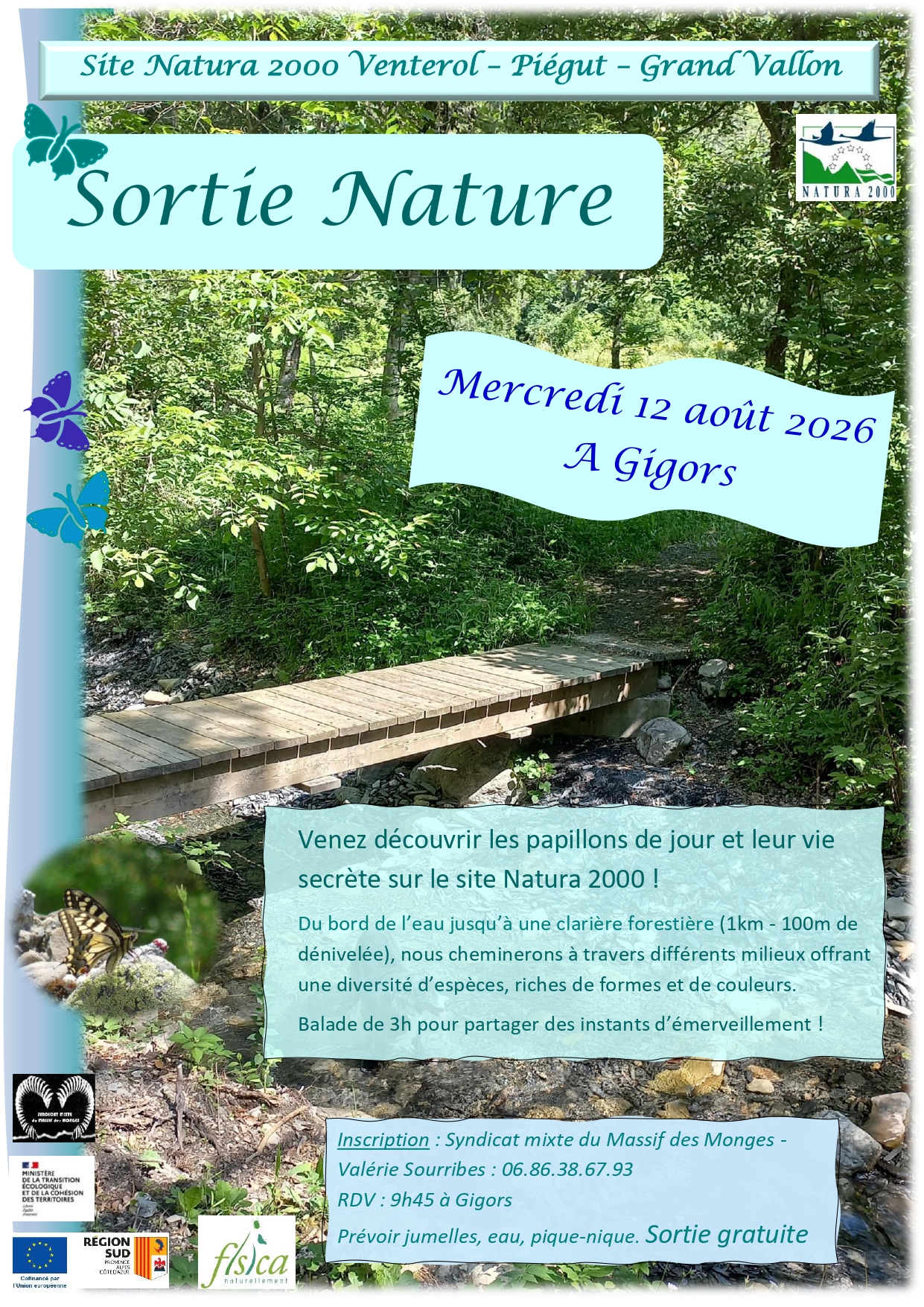 Sortie nature : � la d�couverte des papillons de jour